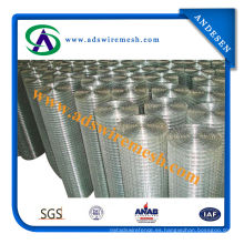 Acoplamiento de alambre soldado revestido galvanizado / PVC (20years fábrica &amp; ISO9001 aprobado)